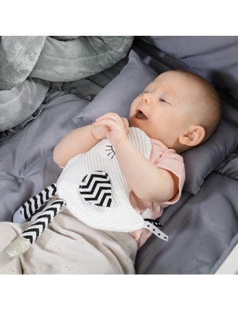 B.O.1536 LITTLE BIRDIE BLINK & SHINE pliušinis žaislas - rustle