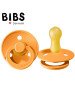 BIBS 100219 Čiulptukas APRICOT S