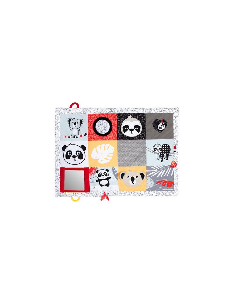 CANPOL 68/094 Lavinamasis kilimėlis "Tummy Time BabiesBoo