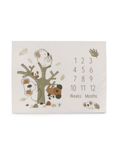 CEBA 309-000-729 Foto kilimėlis 92x72 Basic Koala*