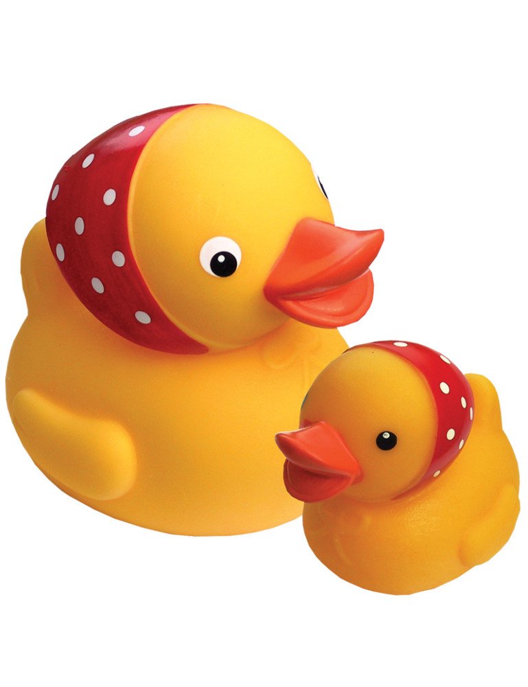 HENCZ 825 Ančių šeima