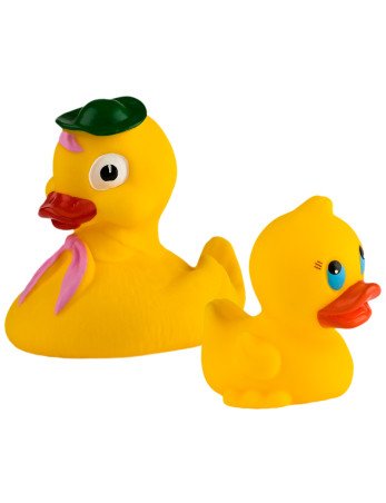 HENCZ 825 Ančių šeima