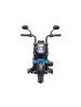 MILLY MALLY 5750 akumuliatorius Transporto priemonės motociklas Eagle Blue