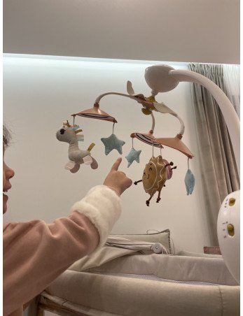 TINY LOVE TL13088068 Klasikinė karuselė Vienaragis